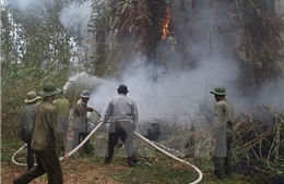 Khu vực Tây Bắc, miền Trung, Nam bộ, Tây Nguyên có nguy cơ cháy rừng cao